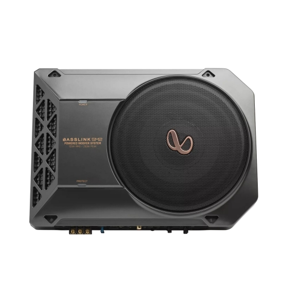 Infinity Basslink SM2